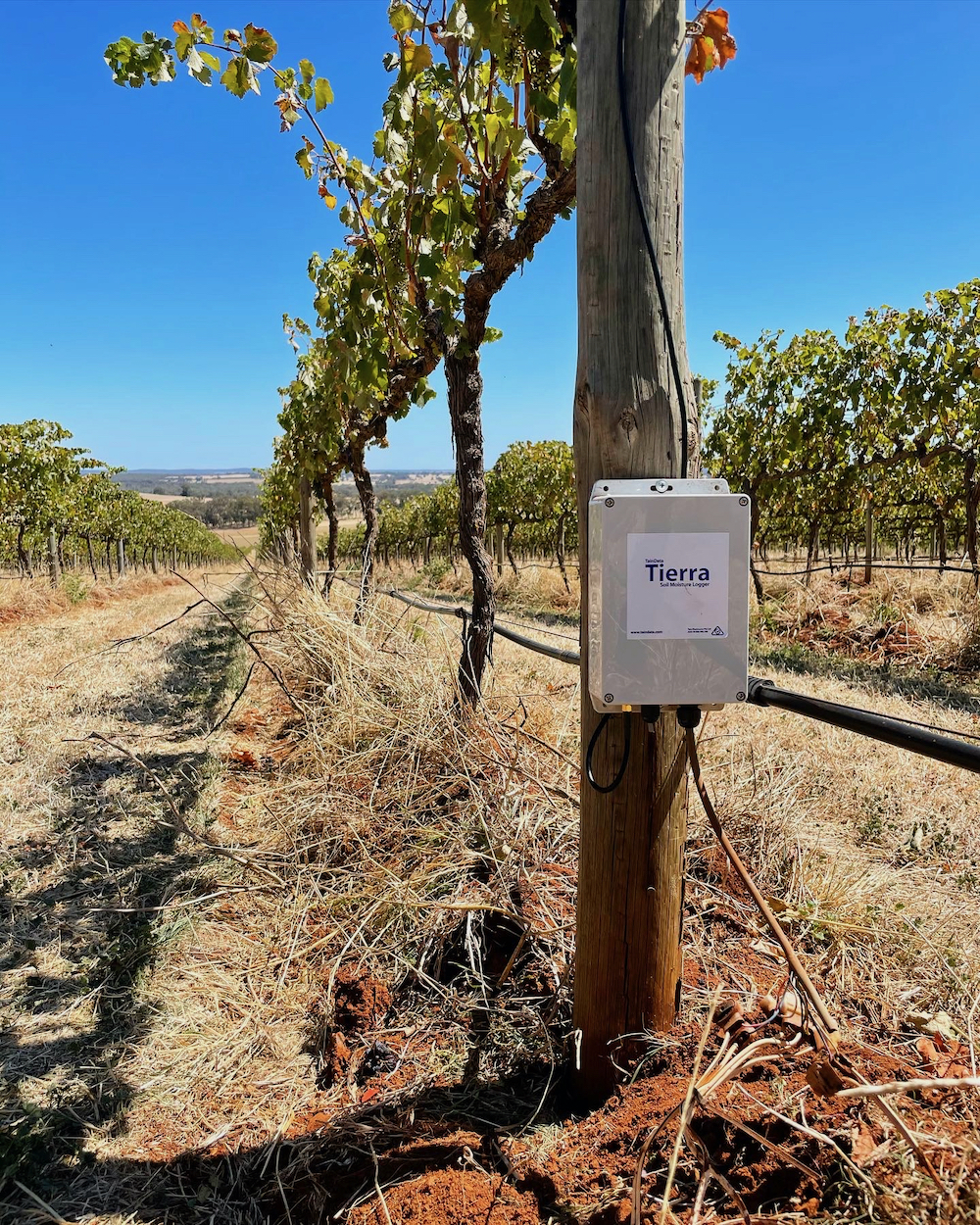 TainData Tierra data monitor at Tellurian Wines