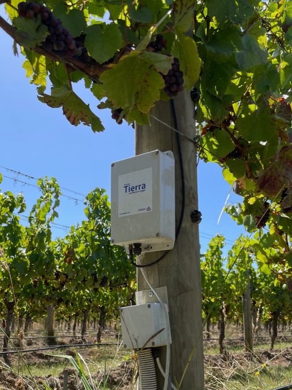 TainData Tierra Cellular at Ten Minutes By Tractor, Hastings, Victoria